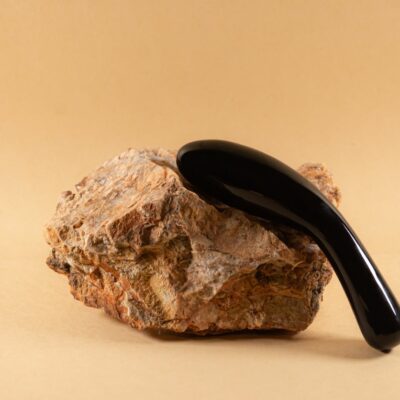 Prince-Albert-Curved-Eggplant-Wand-Medium-400x400